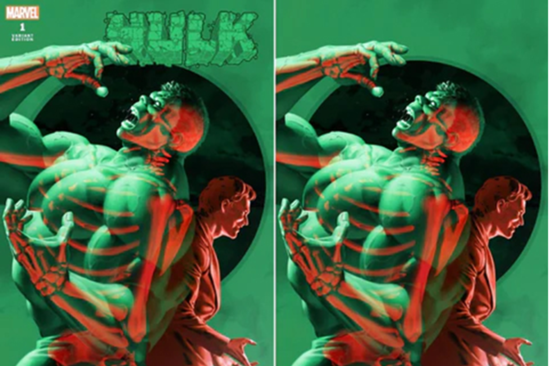 Hulk #1 Double Exposure Trade and Virgin Limited Edition Box Set